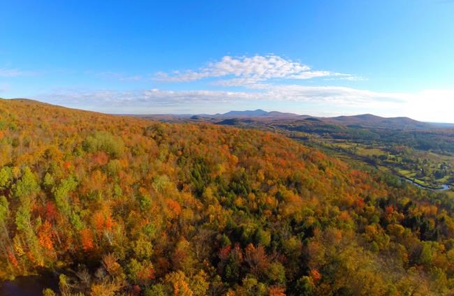 Survey finds growing disconnect between Canadians and nature | iNFOnews.ca