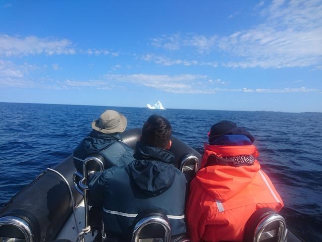 N.L. tour operators optimistic despite bleak start to iceberg season | iNFOnews.ca