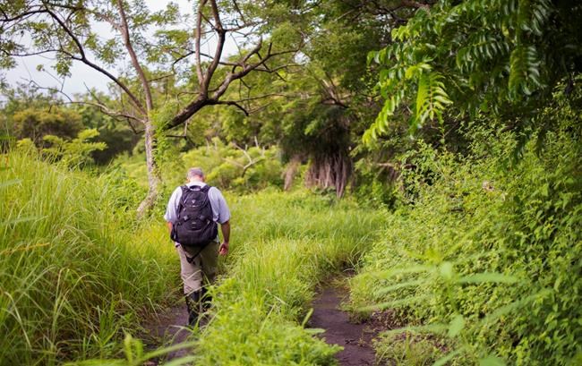Canadian fights for tropical dry forests at United Nations meeting | iNFOnews.ca