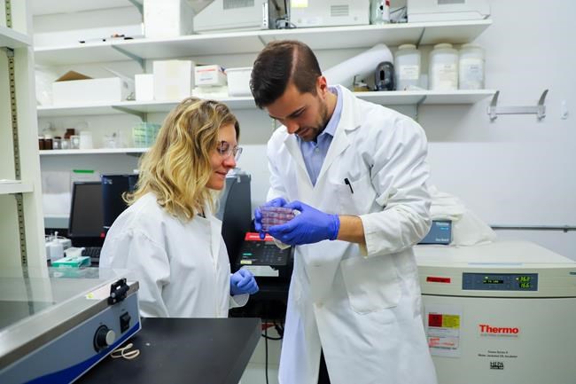 Lab-grown meat companies see opportunity for growth, research in Canada | iNFOnews.ca