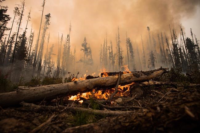 Smoke from wildfire is like a 'chemical soup,' says fire researcher | iNFOnews.ca