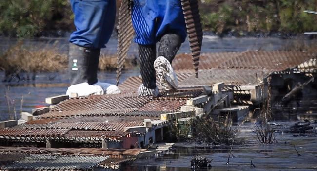 Human error increasingly a factor contributing to pipeline leaks, data suggests | iNFOnews.ca