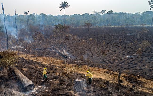 Feds pushed to abandon trade talks with Brazil over Amazon deforestation | iNFOnews.ca Feds pushed to abandon trade talks with Brazil over Amazon deforestation | iNFOnews.ca