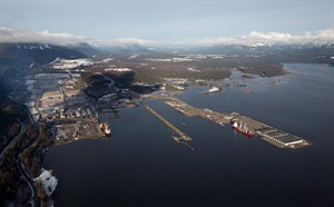 CP20237502