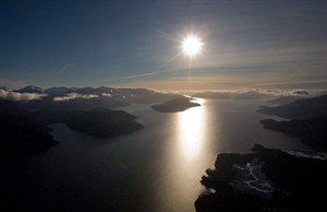 CP20148779