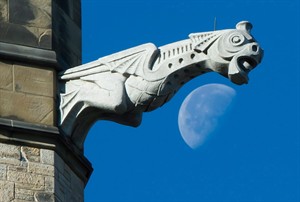 Today on the Hill: Mounties release results of operation aimed at online creeps | iNFOnews.ca CP28638909