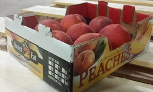 Fruit from California recalled due to possible Listeria contamination | iNFOnews.ca CP29218397