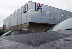 Maple Leaf Foods is hoping consumers get used to paying more for bacon, sausages | iNFOnews.ca CP29329982