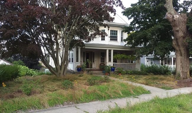 Natural-lawn advocate contests blight citation for her yard | iNFOnews.ca Natural-lawn advocate contests blight citation for her yard | iNFOnews.ca