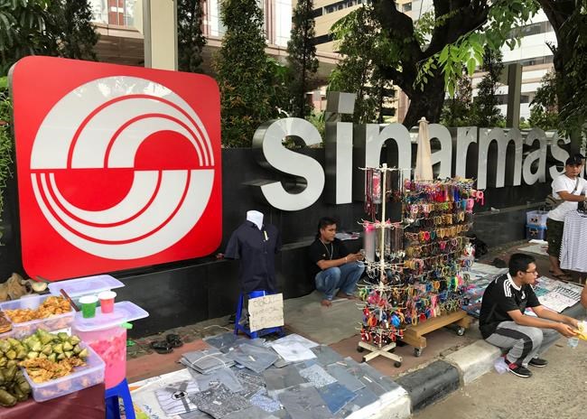 AP Exclusive: Pulp giant's makeover obscures supplier ties | iNFOnews.ca