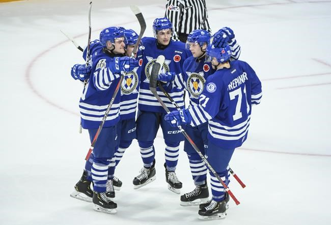 Halifax mayor Mike Savage asking employers to jump on Mooseheads bandwagon | iNFOnews.ca Halifax mayor Mike Savage asking employers to jump on Mooseheads bandwagon | iNFOnews.ca