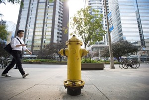Meet the fire hydrant that makes Toronto the most money from parking tickets | iNFOnews.ca CP29456196