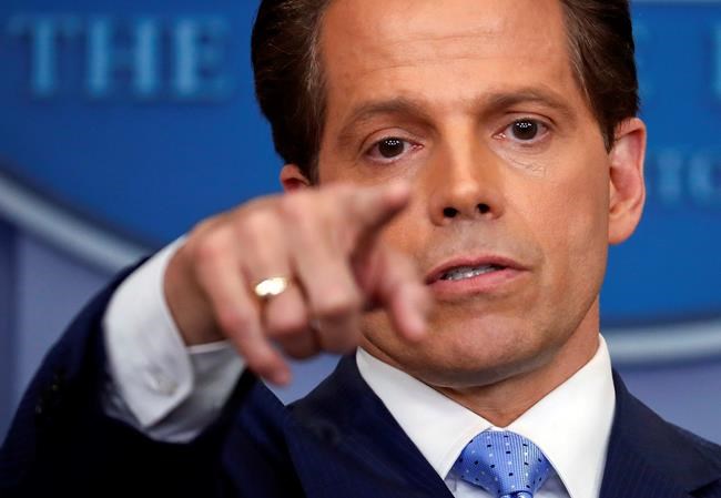 Scaramucci: NYC financier turned Trump communications chief | iNFOnews.ca Scaramucci: NYC financier turned Trump communications chief | iNFOnews.ca