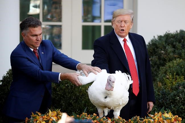 Trump tells impeachment jokes at annual turkey pardon event | iNFOnews.ca