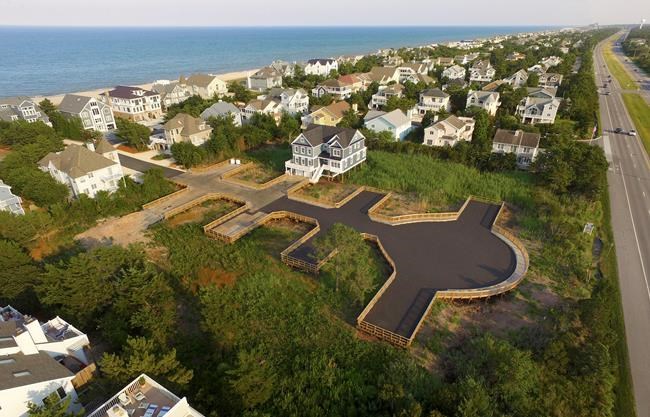 Endangered list sought for firefly with double-green flash | iNFOnews.ca CP628349328