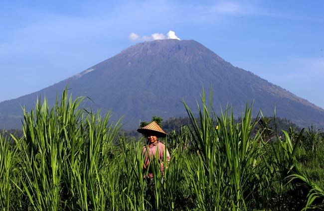 Bali volcano's alert status lowered after decreased activity | iNFOnews.ca Bali volcano's alert status lowered after decreased activity | iNFOnews.ca