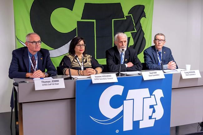 Sharks to saiga, nations up support for endangered wildlife | iNFOnews.ca