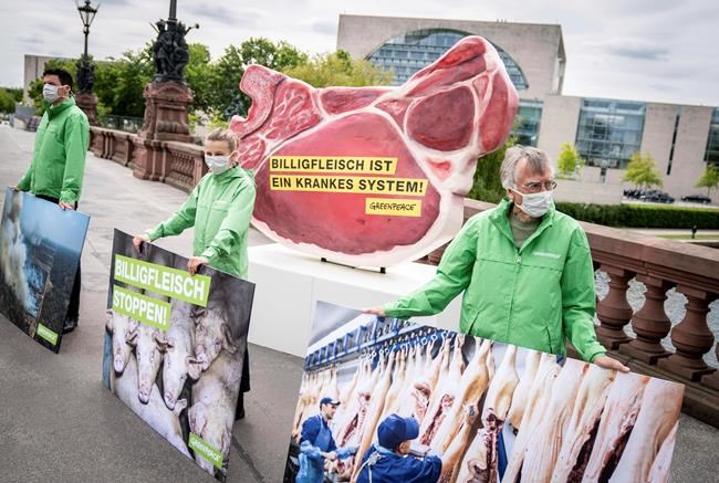 Business, government operate under new rules, market rallies | iNFOnews.ca