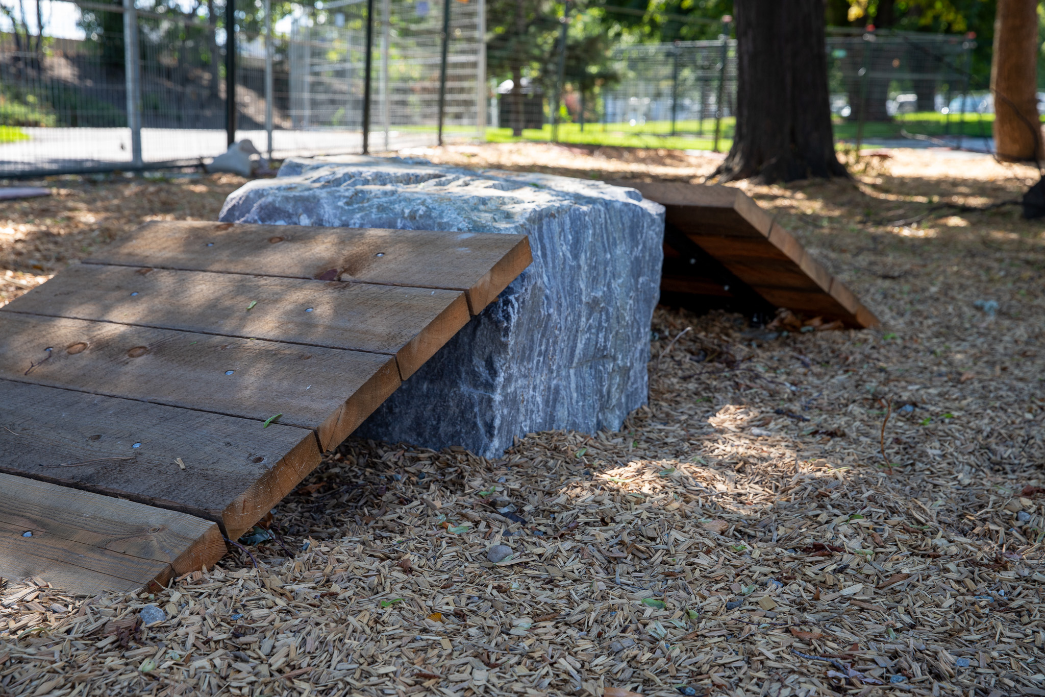 $1.2 M dog park in downtown Kelowna officially opens next week | iNFOnews.ca A dog ramp in some wood chips.
