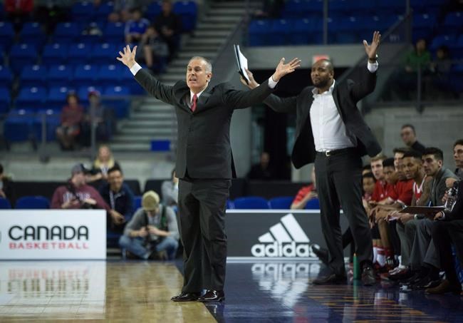 Former McGill coach David DeAveiro takes over Rams men's basketball team | iNFOnews.ca Former McGill coach David DeAveiro takes over Rams men's basketball team | iNFOnews.ca