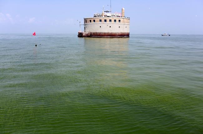 Algal blooms lead to 'impaired' designation for Lake Erie | iNFOnews.ca CP2028353776