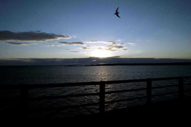 Republicans join Democrats against Trump's Great Lakes cuts | iNFOnews.ca Republicans join Democrats against Trump's Great Lakes cuts | iNFOnews.ca