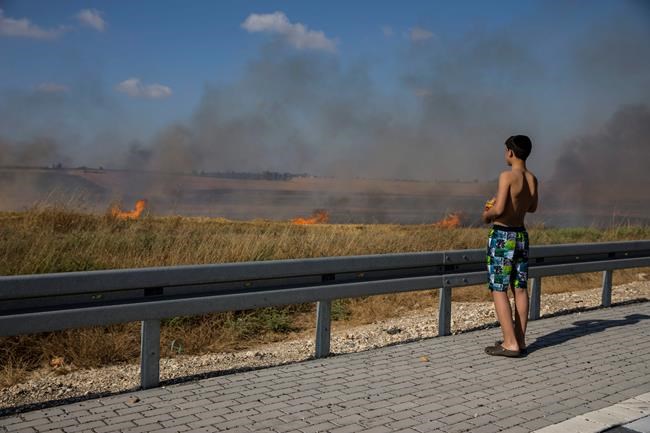 Burning kites from Gaza damage Israeli farms, wildlife | iNFOnews.ca
