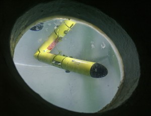 Underwater gliders could solve ecological mystery about right whales | iNFOnews.ca CP29389837