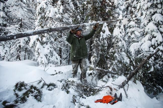 Natural gas pipeline company posts 72-hour notice to clear way in northern B.C. | iNFOnews.ca Natural gas pipeline company posts 72-hour notice to clear way in northern B.C. | iNFOnews.ca
