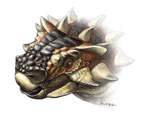New dinosaur named 'Zaraapelta' resembled hedgehog with a flamboyant face | iNFOnews.ca CP30465654