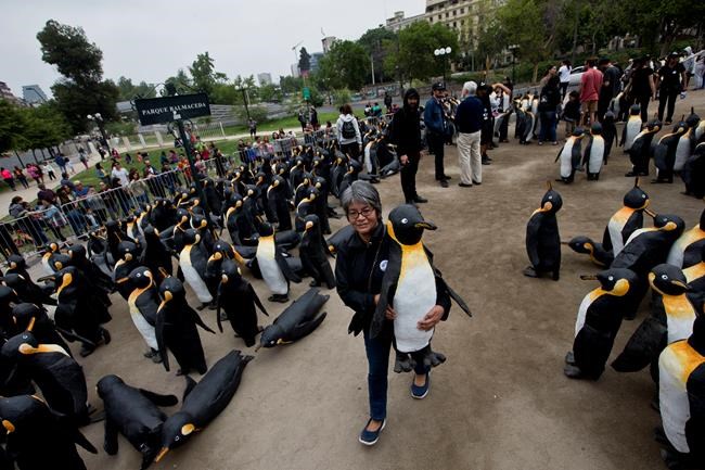 Climate group: 14 activists banned by conference host Poland | iNFOnews.ca