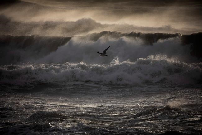 Spain walloped by heavy snow, rain, gales that leave 3 dead | iNFOnews.ca