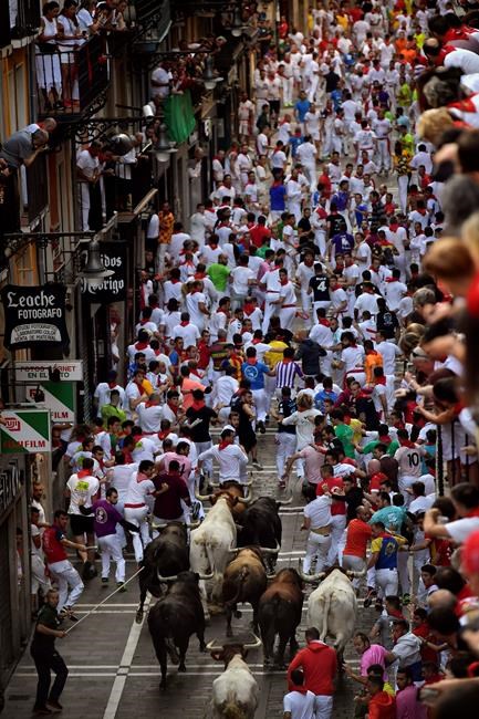 No gorings in fastest bull run at Pamplona in 2019 | iNFOnews.ca