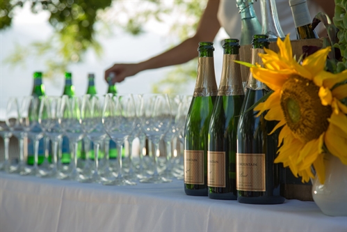 Summer Social at Blue Mountain