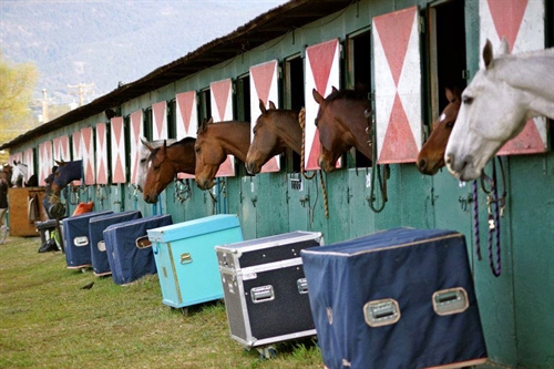 Fall Dressage % Day and Schooling | iNFOnews.ca Fall Dressage % Day and Schooling