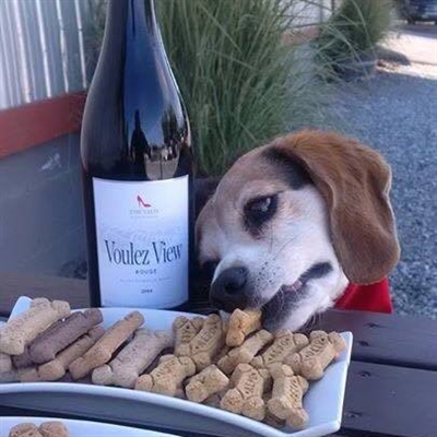 Wine & Wags