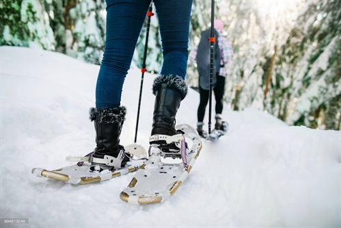 SnowQuest Nordic Edition