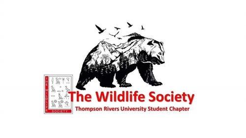 Wildlife Night | iNFOnews.ca Wildlife Night