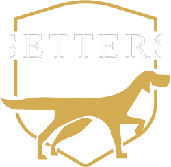 Bingo Tuesdays at Setters Pub (postponed)