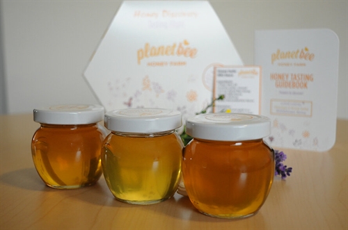 MEANT TO BEE: PAIRING B.C HONEY, CHEESE AND MEAD! (Online)