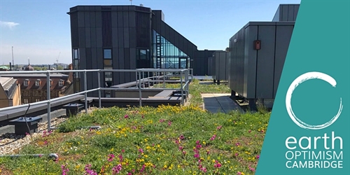 Bringing nature in – biophilic and living design | iNFOnews.ca Bringing nature in – biophilic and living design