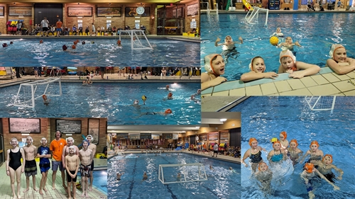 Free Water Polo Tryout  Parkinson Rec Adult Rec
