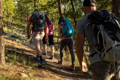 Nature Walk: Peterson Creek Park