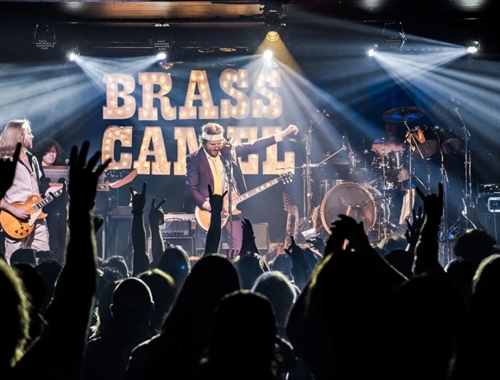 Brass Camel at the Effie