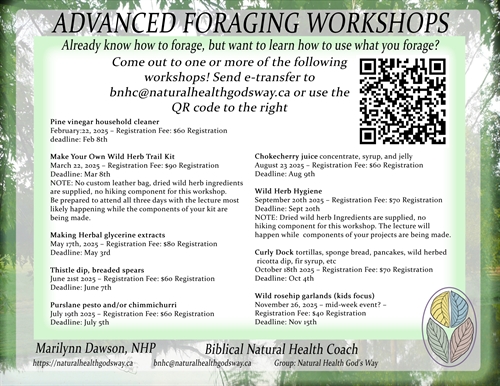 Advanced Foraging Workshop – Wild rosehip garlands (Kids Focus)