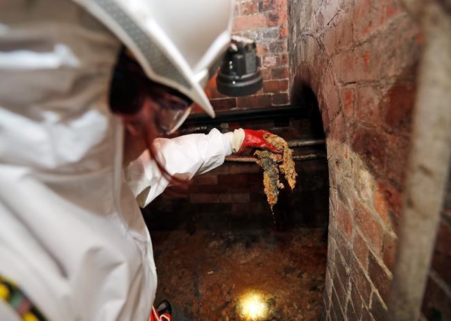 London studying ways to reduce new fatberg under Chinatown | iNFOnews.ca