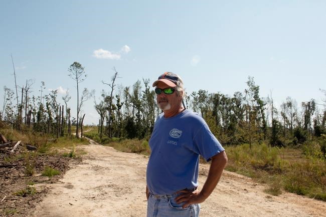 Florida timber farmers face tough choices year after Michael | iNFOnews.ca