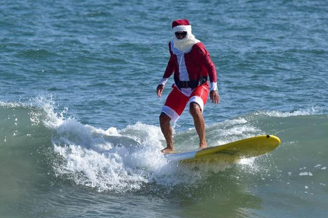 Christmas in Florida: Chilly forecast, falling iguanas | iNFOnews.ca Christmas in Florida: Chilly forecast, falling iguanas | iNFOnews.ca