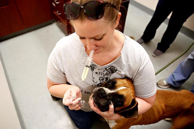 Mo the Sloth and Kramer the Emu do time in county jail | iNFOnews.ca