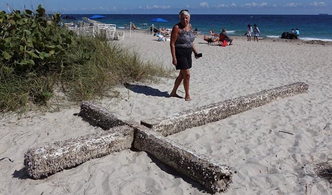 Barnacle-covered wooden cross washes up on Florida beach | iNFOnews.ca Barnacle-covered wooden cross washes up on Florida beach | iNFOnews.ca